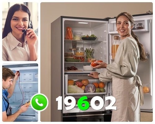 مركز صيانة ال جي بشبين الكوم